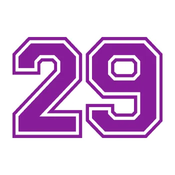 Polep vozidla Startovní číslo 29 typ 4 (14 - fialová) SAMOLEPKA NA AUTO, NÁLEPKA, FÓLIE, POLEP, TUNING, VLASTNÍ TEXT, TISK, AUTOSAMOLEPKY.cz, POLEPY, OBRÁZEK, LOGO, 3D STICKERS