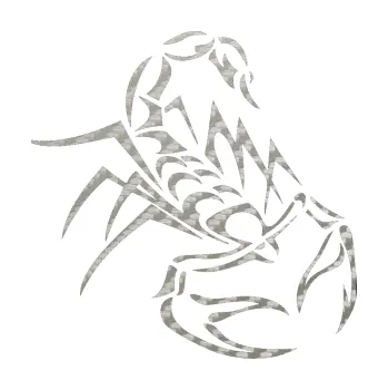 Polep vozidla SAMOLEPKA Štír 017 pravá (52 - 3D karbon stříbrný) NA AUTO, NÁLEPKA, FÓLIE, POLEP, TUNING, VLASTNÍ TEXT, TISK, AUTOSAMOLEPKY.cz, POLEPY, OBRÁZEK, LOGO, SAMOLEPKY