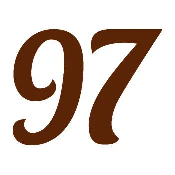 Polep vozidla Startovní číslo 97 typ 3 (15 - hnědá) SAMOLEPKA NA AUTO, NÁLEPKA, FÓLIE, POLEP, TUNING, VLASTNÍ TEXT, TISK, AUTOSAMOLEPKY.cz, POLEPY, OBRÁZEK, LOGO, 3D STICKERS