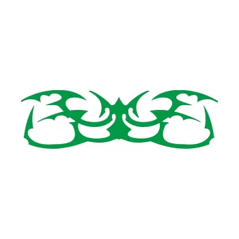 Polep vozidla Tetování 044 (12 - zelená) SAMOLEPKA NA AUTO, NÁLEPKA, FÓLIE, POLEP, TUNING, VLASTNÍ TEXT, TISK, AUTOSAMOLEPKY.cz, POLEPY, OBRÁZEK, LOGO, 3D STICKERS