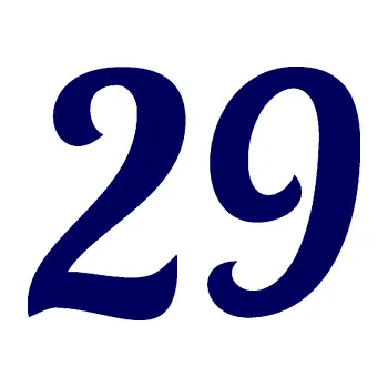 Polep vozidla Startovní číslo 29 typ 3 (23 - tmavě modrá) SAMOLEPKA NA AUTO, NÁLEPKA, FÓLIE, POLEP, TUNING, VLASTNÍ TEXT, TISK, AUTOSAMOLEPKY.cz, POLEPY, OBRÁZEK, LOGO, 3D STICKERS