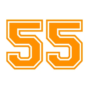 Polep vozidla Startovní číslo 55 typ 4 (06 - oranžová) SAMOLEPKA NA AUTO, NÁLEPKA, FÓLIE, POLEP, TUNING, VLASTNÍ TEXT, TISK, AUTOSAMOLEPKY.cz, POLEPY, OBRÁZEK, LOGO, 3D STICKERS