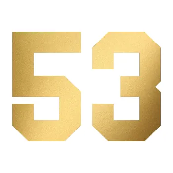 Polep vozidla Startovní číslo 53 (43 - zlatá metalíza) SAMOLEPKA NA AUTO, NÁLEPKA, FÓLIE, POLEP, TUNING, VLASTNÍ TEXT, TISK, AUTOSAMOLEPKY.cz, POLEPY, OBRÁZEK, LOGO, 3D STICKERS