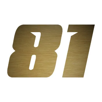 Polep vozidla Startovní číslo 81 typ 6 (64 - škrábaný kov zlatý) SAMOLEPKA NA AUTO, NÁLEPKA, FÓLIE, POLEP, TUNING, VLASTNÍ TEXT, TISK, AUTOSAMOLEPKY.cz, POLEPY, OBRÁZEK, LOGO, 3D STICKERS