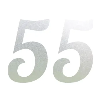 Polep vozidla Startovní číslo 55 typ 3 (60 - pískované sklo) SAMOLEPKA NA AUTO, NÁLEPKA, FÓLIE, POLEP, TUNING, VLASTNÍ TEXT, TISK, AUTOSAMOLEPKY.cz, POLEPY, OBRÁZEK, LOGO, 3D STICKERS