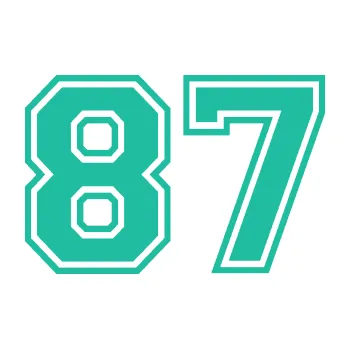 Polep vozidla Startovní číslo 87 typ 4 (25 - tyrkysová) SAMOLEPKA NA AUTO, NÁLEPKA, FÓLIE, POLEP, TUNING, VLASTNÍ TEXT, TISK, AUTOSAMOLEPKY.cz, POLEPY, OBRÁZEK, LOGO, 3D STICKERS
