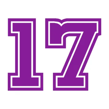 Polep vozidla Startovní číslo 17 typ 5 (14 - fialová) SAMOLEPKA NA AUTO, NÁLEPKA, FÓLIE, POLEP, TUNING, VLASTNÍ TEXT, TISK, AUTOSAMOLEPKY.cz, POLEPY, OBRÁZEK, LOGO, 3D STICKERS