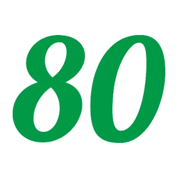 Polep vozidla Startovní číslo 80 typ 3 (12 - zelená) SAMOLEPKA NA AUTO, NÁLEPKA, FÓLIE, POLEP, TUNING, VLASTNÍ TEXT, TISK, AUTOSAMOLEPKY.cz, POLEPY, OBRÁZEK, LOGO, 3D STICKERS