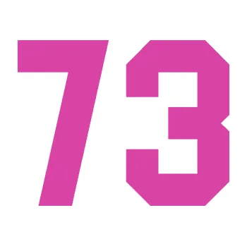 Polep vozidla Startovní číslo 73 (16 - růžová) SAMOLEPKA NA AUTO, NÁLEPKA, FÓLIE, POLEP, TUNING, VLASTNÍ TEXT, TISK, AUTOSAMOLEPKY.cz, POLEPY, OBRÁZEK, LOGO, 3D STICKERS