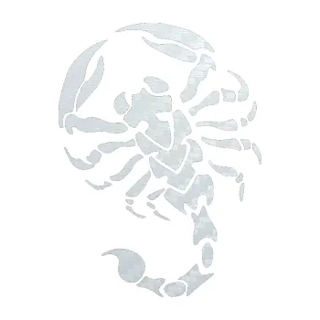 Polep vozidla SAMOLEPKA Štír 016 pravá (51 - 3D karbon bílý) NA AUTO, NÁLEPKA, FÓLIE, POLEP, TUNING, VLASTNÍ TEXT, TISK, AUTOSAMOLEPKY.cz, POLEPY, OBRÁZEK, LOGO, SAMOLEPKY