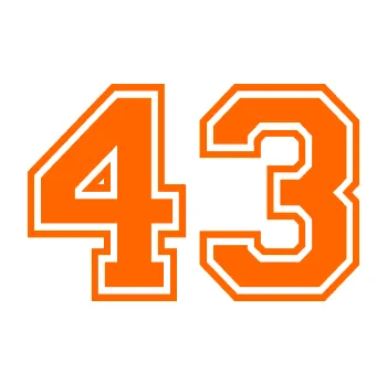 Polep vozidla Startovní číslo 43 typ 4 (73 - Fluorescentní oranžová) SAMOLEPKA NA AUTO, NÁLEPKA, FÓLIE, POLEP, TUNING, VLASTNÍ TEXT, TISK, AUTOSAMOLEPKY.cz, POLEPY, OBRÁZEK, LOGO, 3D STICKERS