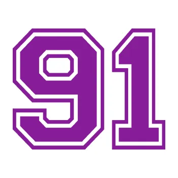 Polep vozidla Startovní číslo 91 typ 4 (14 - fialová) SAMOLEPKA NA AUTO, NÁLEPKA, FÓLIE, POLEP, TUNING, VLASTNÍ TEXT, TISK, AUTOSAMOLEPKY.cz, POLEPY, OBRÁZEK, LOGO, 3D STICKERS