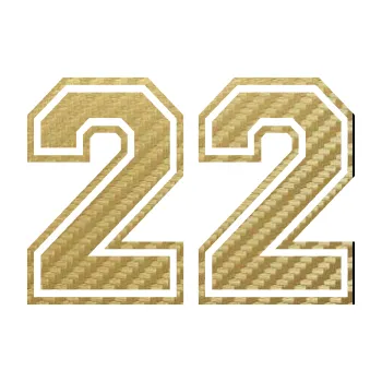 Polep vozidla Startovní číslo 22 typ 4 (59 - 3D karbon zlatý) SAMOLEPKA NA AUTO, NÁLEPKA, FÓLIE, POLEP, TUNING, VLASTNÍ TEXT, TISK, AUTOSAMOLEPKY.cz, POLEPY, OBRÁZEK, LOGO, 3D STICKERS
