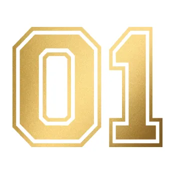 Polep vozidla Startovní číslo 01 typ 4 (43 - zlatá metalíza) SAMOLEPKA NA AUTO, NÁLEPKA, FÓLIE, POLEP, TUNING, VLASTNÍ TEXT, TISK, AUTOSAMOLEPKY.cz, POLEPY, OBRÁZEK, LOGO, 3D STICKERS