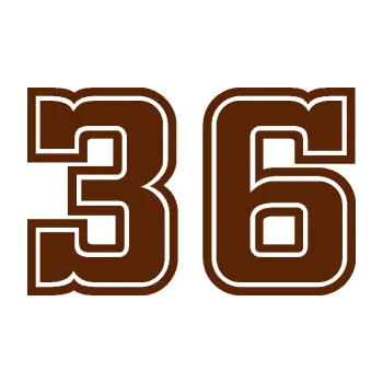 Polep vozidla Startovní číslo 36 typ 5 (15 - hnědá) SAMOLEPKA NA AUTO, NÁLEPKA, FÓLIE, POLEP, TUNING, VLASTNÍ TEXT, TISK, AUTOSAMOLEPKY.cz, POLEPY, OBRÁZEK, LOGO, 3D STICKERS