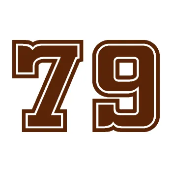 Polep vozidla Startovní číslo 79 typ 5 (15 - hnědá) SAMOLEPKA NA AUTO, NÁLEPKA, FÓLIE, POLEP, TUNING, VLASTNÍ TEXT, TISK, AUTOSAMOLEPKY.cz, POLEPY, OBRÁZEK, LOGO, 3D STICKERS