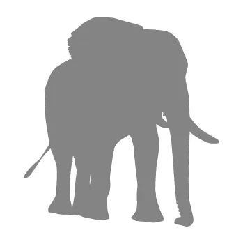 Samolepící dekorace SAMOLEPKA Slon 009 pravá (17 - šedá) NA AUTO, NÁLEPKA, FÓLIE, POLEP, TUNING, VLASTNÍ TEXT, TISK, AUTOSAMOLEPKY.cz, POLEPY, OBRÁZEK, LOGO, SAMOLEPKY