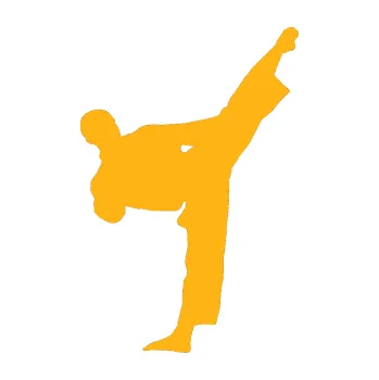 Polep vozidla Taekwondo 002 pravá (21 - světle oranžová) SAMOLEPKA NA AUTO, NÁLEPKA, FÓLIE, POLEP, TUNING, VLASTNÍ TEXT, TISK, AUTOSAMOLEPKY.cz, POLEPY, OBRÁZEK, LOGO, 3D STICKERS