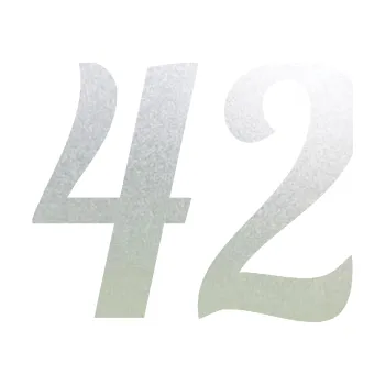 Polep vozidla Startovní číslo 42 typ 3 (60 - pískované sklo) SAMOLEPKA NA AUTO, NÁLEPKA, FÓLIE, POLEP, TUNING, VLASTNÍ TEXT, TISK, AUTOSAMOLEPKY.cz, POLEPY, OBRÁZEK, LOGO, 3D STICKERS