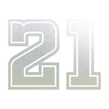 Polep vozidla Startovní číslo 21 typ 5 (60 - pískované sklo) SAMOLEPKA NA AUTO, NÁLEPKA, FÓLIE, POLEP, TUNING, VLASTNÍ TEXT, TISK, AUTOSAMOLEPKY.cz, POLEPY, OBRÁZEK, LOGO, 3D STICKERS