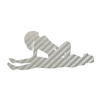 Polep vozidla Sexy siluety 009 (52 - 3D karbon stříbrný) SAMOLEPKA NA AUTO, NÁLEPKA, FÓLIE, POLEP, TUNING, VLASTNÍ TEXT, TISK, AUTOSAMOLEPKY.cz, POLEPY, OBRÁZEK, LOGO, 3D STICKERS