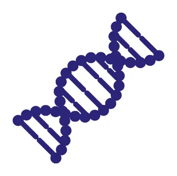 samolepka Vzorec DNA pravá (22 - střední modrá) SAMOLEPKA NA AUTO, NÁLEPKA, FÓLIE, POLEP, TUNING, VLASTNÍ TEXT, TISK, AUTOSAMOLEPKY.cz, POLEPY, OBRÁZEK, LOGO, 3D STICKERS