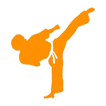 Polep vozidla Taekwondo 001 pravá (06 - oranžová) SAMOLEPKA NA AUTO, NÁLEPKA, FÓLIE, POLEP, TUNING, VLASTNÍ TEXT, TISK, AUTOSAMOLEPKY.cz, POLEPY, OBRÁZEK, LOGO, 3D STICKERS