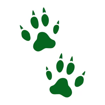 samolepka Tlapky 004 (20 - tmavě zelená) SAMOLEPKA NA AUTO, NÁLEPKA, FÓLIE, POLEP, TUNING, VLASTNÍ TEXT, TISK, AUTOSAMOLEPKY.cz, POLEPY, OBRÁZEK, LOGO, 3D STICKERS