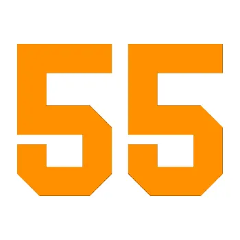 Polep vozidla Startovní číslo 55 (06 - oranžová) SAMOLEPKA NA AUTO, NÁLEPKA, FÓLIE, POLEP, TUNING, VLASTNÍ TEXT, TISK, AUTOSAMOLEPKY.cz, POLEPY, OBRÁZEK, LOGO, 3D STICKERS