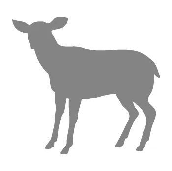 Samolepící dekorace SAMOLEPKA Srna 001 levá (17 - šedá) NA AUTO, NÁLEPKA, FÓLIE, POLEP, TUNING, VLASTNÍ TEXT, TISK, AUTOSAMOLEPKY.cz, POLEPY, OBRÁZEK, LOGO, SAMOLEPKY