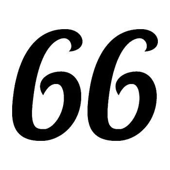 Polep vozidla Startovní číslo 66 typ 3 (01 - černá) SAMOLEPKA NA AUTO, NÁLEPKA, FÓLIE, POLEP, TUNING, VLASTNÍ TEXT, TISK, AUTOSAMOLEPKY.cz, POLEPY, OBRÁZEK, LOGO, 3D STICKERS