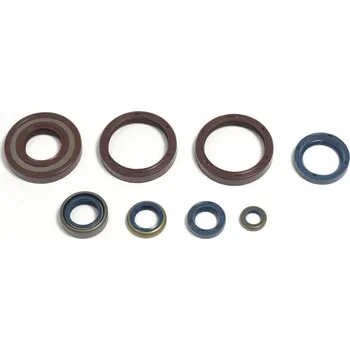 Těsnění pro motocykl Sada gufer motoru ATHENA HUSQVARNA 300 WR rok 09-11