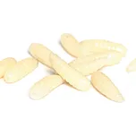 Lucky John červi Pro Maggots (bílá) 14mm 25ks