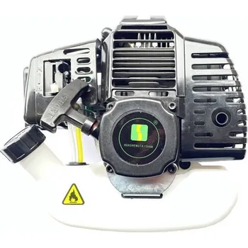 Motor pro motocykl Motor X-scooters XG 49cc 2t