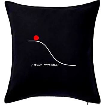Polštář I have potential - Polštář 50x50 - 50x50 - Pouze potah ( Černá )