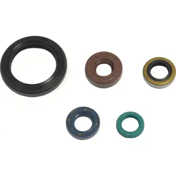 Těsnění pro motocykl Sada gufer motoru ATHENA KAWASAKI KLX 250 S rok 09-10