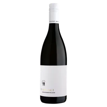 Víno Neronet 2020, zemské víno, Vinařství Novotný Bílek, suché