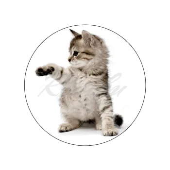 Jedlá dekorace na dort KOTĚ mávající, VARIANTA Jedlý papír 226