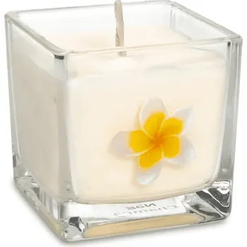 Svíčka Milujeme Kameny Vonná svíčka Nag Champa 51851