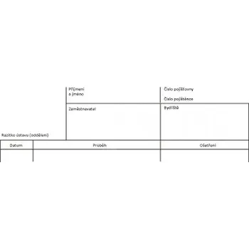 DEKURZ. VLOŽKA DO ZDRAV.DOKUMENTACE A4 blok 100 listů