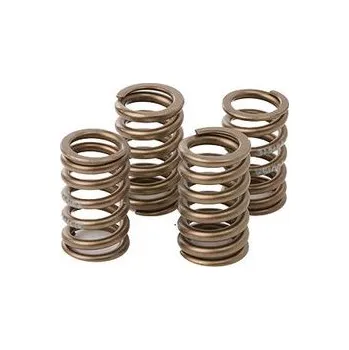 C&L COMPANIES Valve spring kit HOT CAMS VSK1009