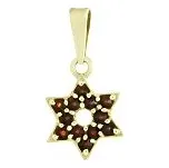 Český granát - přívěsek zlatý Hvězdička GT-2470559