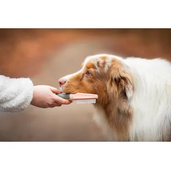 Kartáč pro zvířata Vsepropejska Lois hřeben pro psa na blechy | 20 cm Barva: Růžová