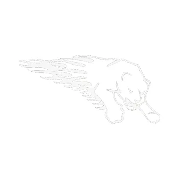 Samolepicí dekorace na vozidlo SAMOLEPKA Animal flames 020 pravá puma (09 - bílá) NA AUTO, NÁLEPKA, FÓLIE, POLEP, TUNING, VLASTNÍ TEXT, TISK, AUTOSAMOLEPKY.cz, POLEPY, OBRÁZEK, LOGO, SAMOLEPKY