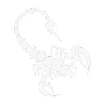 Polep vozidla Štír 020 pravá (09 - bílá) SAMOLEPKA NA AUTO, NÁLEPKA, FÓLIE, POLEP, TUNING, VLASTNÍ TEXT, TISK, AUTOSAMOLEPKY.cz, POLEPY, OBRÁZEK, LOGO, 3D STICKERS