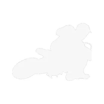 Samolepící dekorace SAMOLEPKA Motorka 005 pravá motokros (09 - bílá) NA AUTO, NÁLEPKA, FÓLIE, POLEP, TUNING, VLASTNÍ TEXT, TISK, AUTOSAMOLEPKY.cz, POLEPY, OBRÁZEK, LOGO, SAMOLEPKY