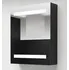 Koupelnový nábytek LED koupelnová skřínka se zrcadlem 50 x 14 x 60 cm, černá
