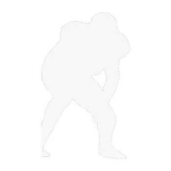 Polep vozidla Americký fotbal 007 pravá (09 - bílá) SAMOLEPKA NA AUTO, NÁLEPKA, FÓLIE, POLEP, TUNING, VLASTNÍ TEXT, TISK, AUTOSAMOLEPKY.cz, POLEPY, OBRÁZEK, LOGO, 3D STICKERS