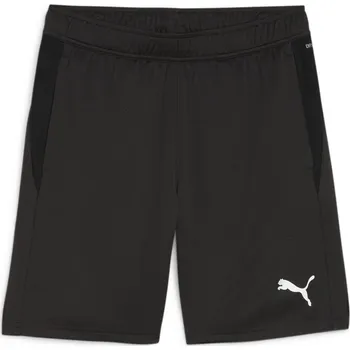 Pánské oblečení Šortky Puma teamGOAL Training Short 658643-03 Velikost XXL