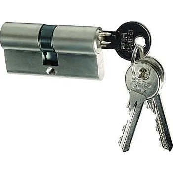 Vložka do dveří Stavební vložka RICHTER EURO Plus (MATNÝ NIKL), EP 30/30 NI, RICHTER Matný nikl